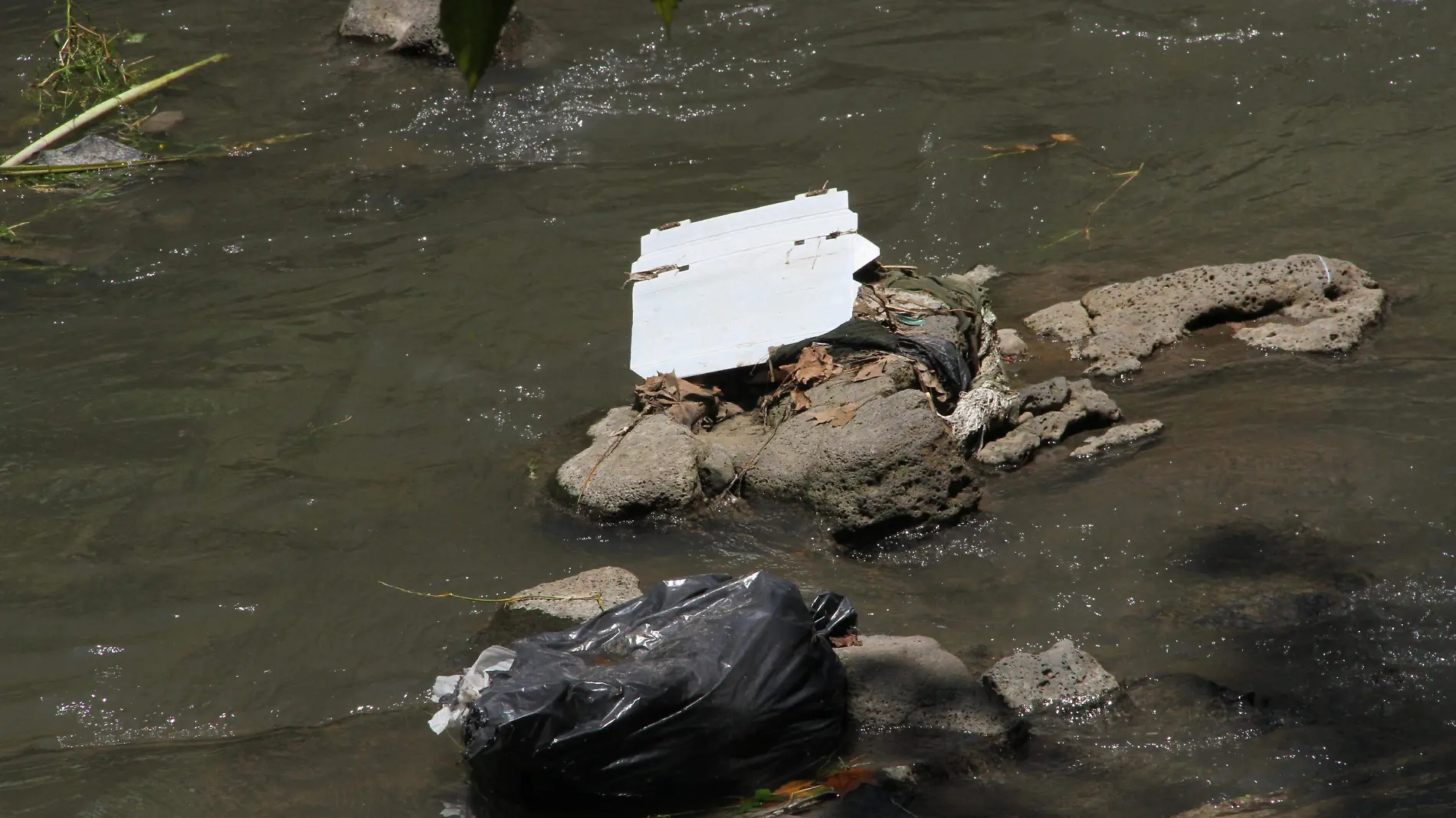 Contaminación en el río Sedeño